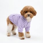 Lavender Fleece Dog Hoodie - Cozy Pet Pullover with Pocket - Image 3