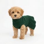 Forest Green Ruffled Dog Sweater Dress - Cozy Knit Pet Dress for Small & Medium Dogs - Image 3